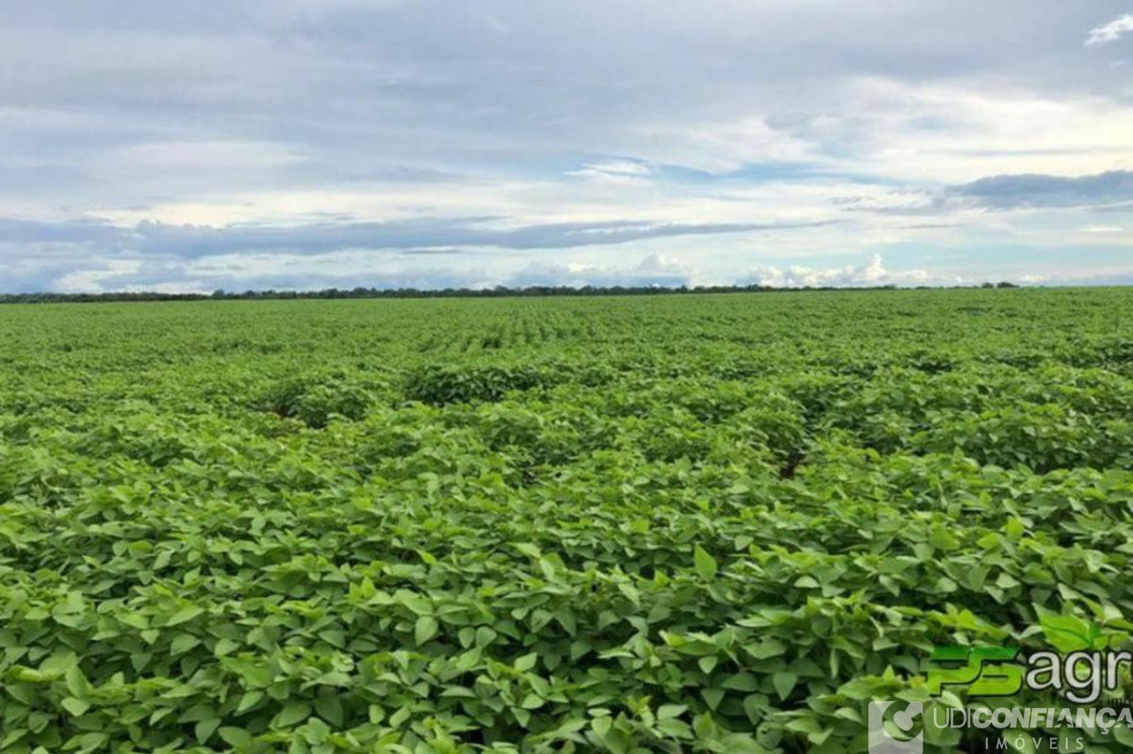 Fazenda à venda - Foto 3