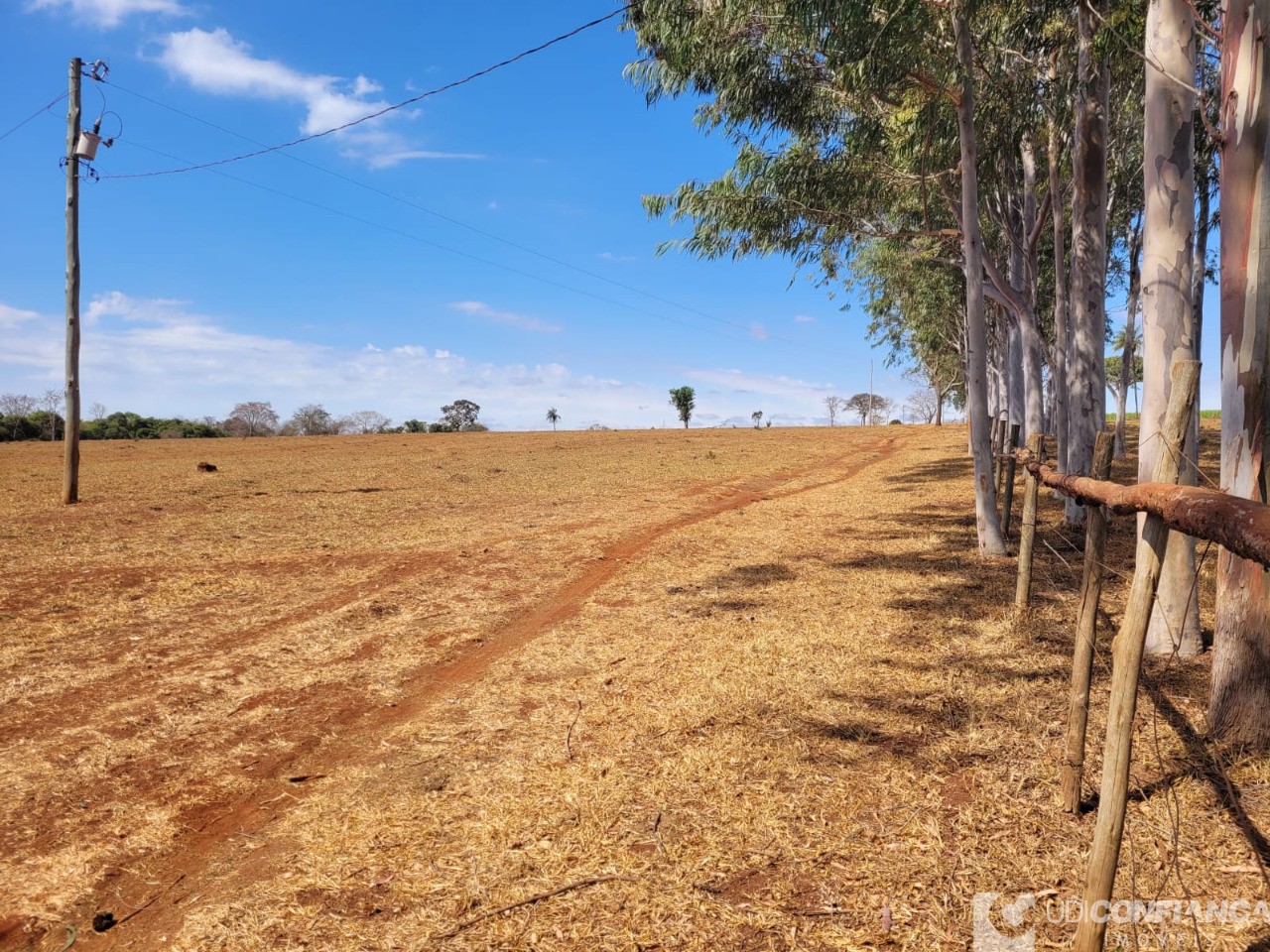 Fazenda à venda - Foto 8