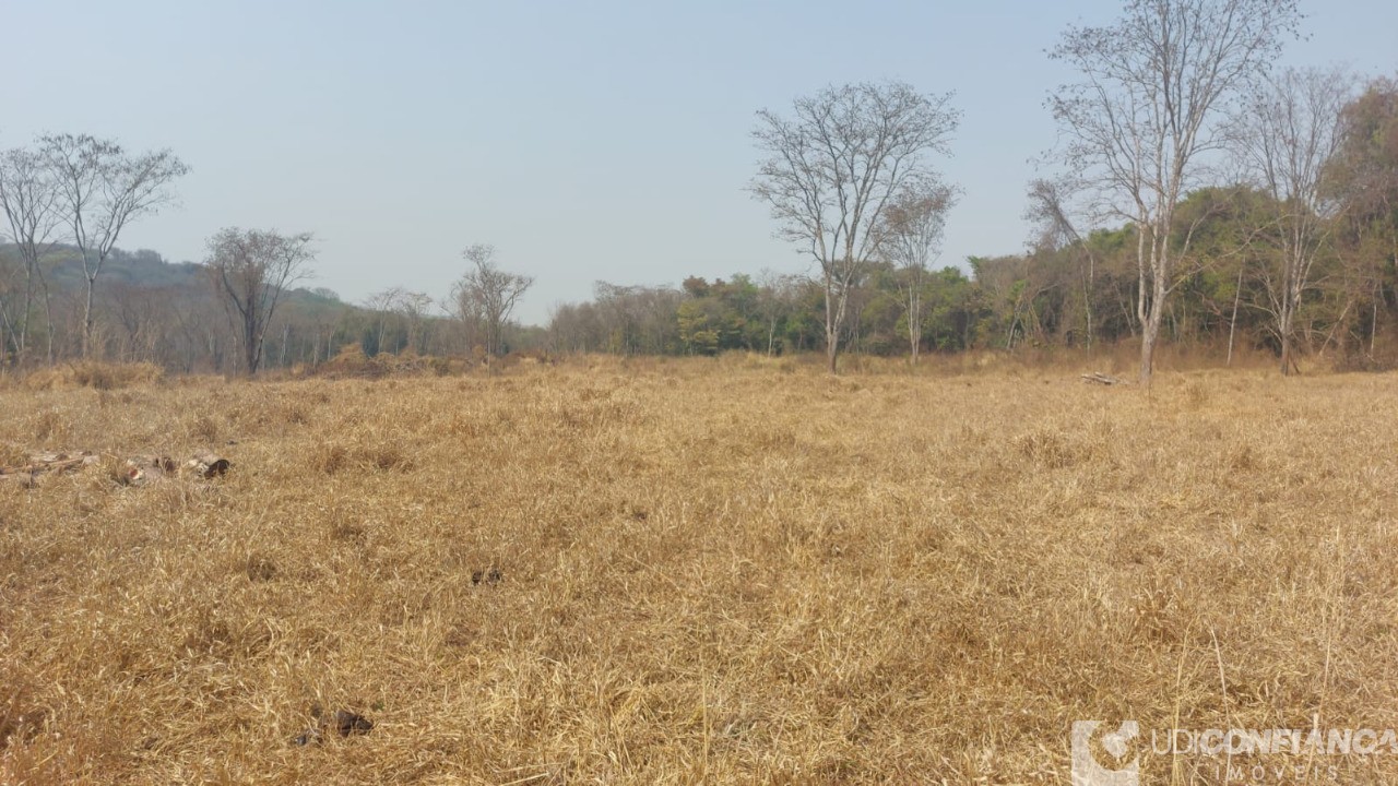 Fazenda à venda - Foto 4