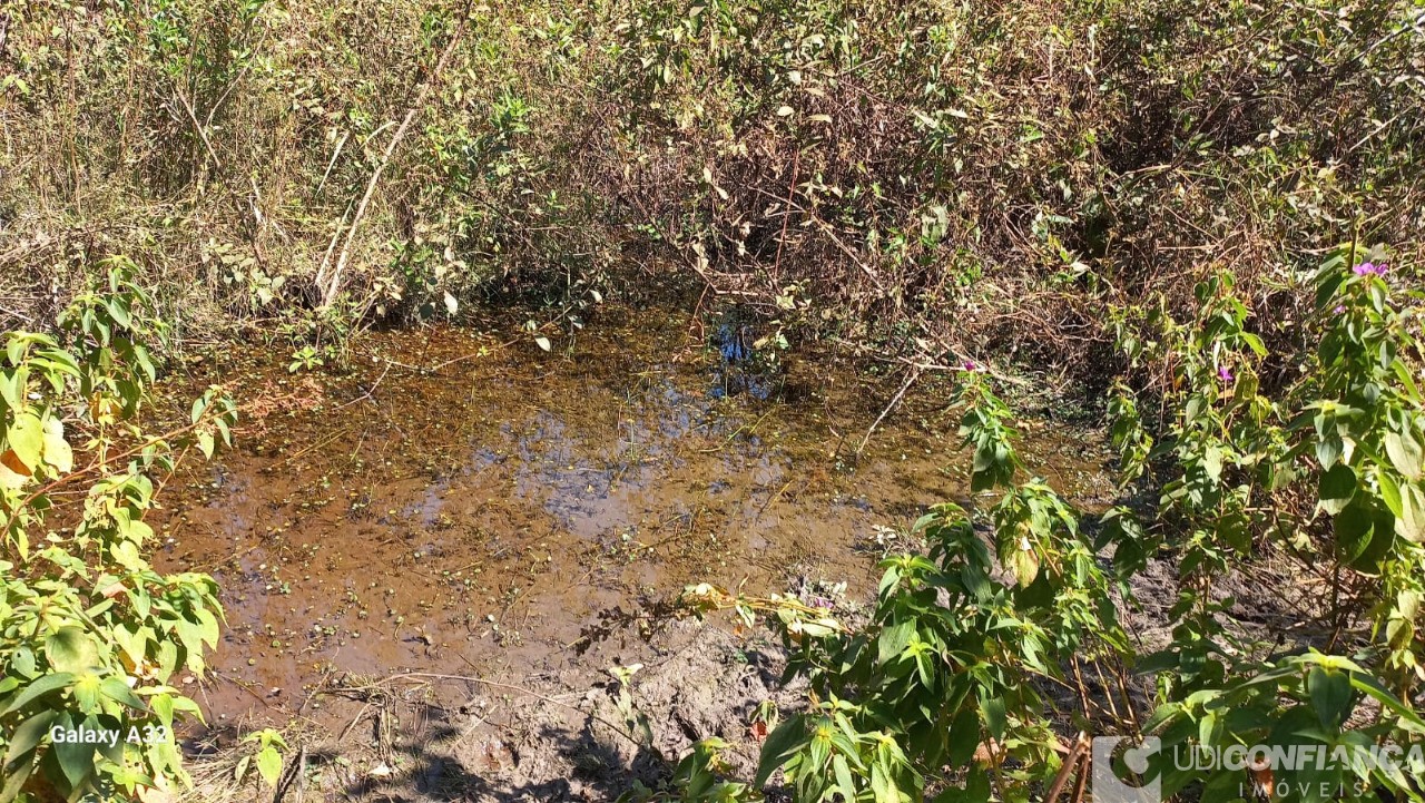 Fazenda à venda - Foto 5