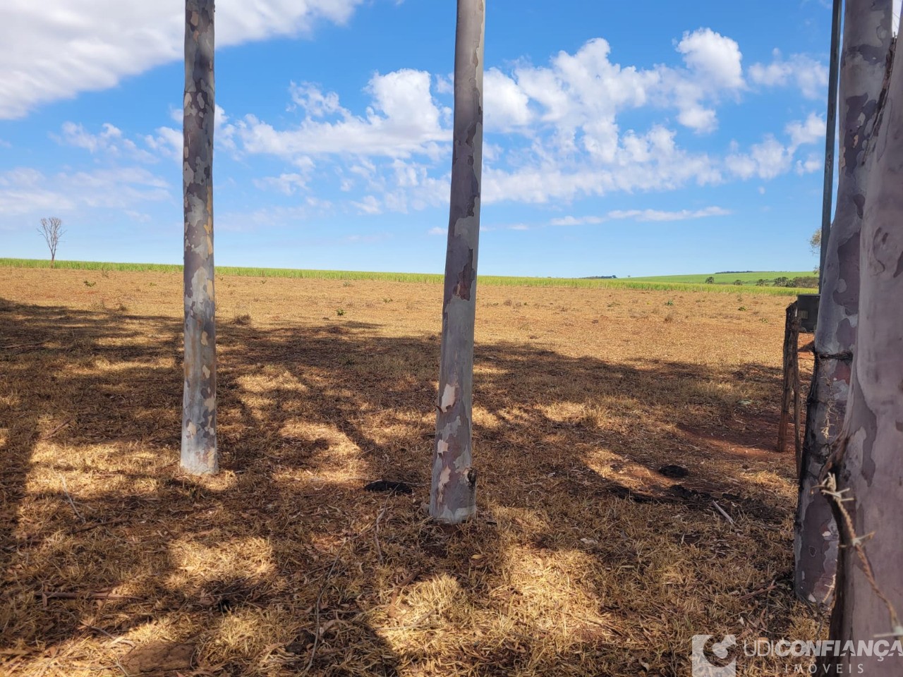 Fazenda à venda - Foto 9