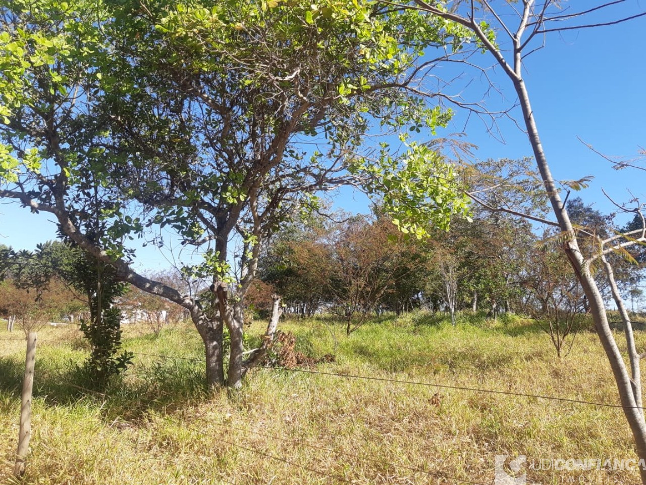 Fazenda à venda - Foto 2