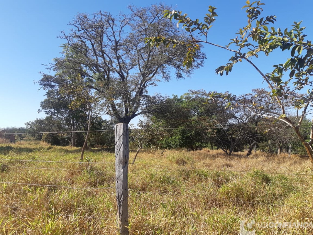 Fazenda à venda - Foto 6