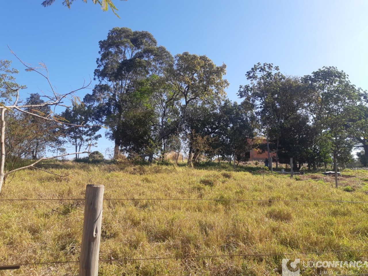 Fazenda à venda - Foto 3