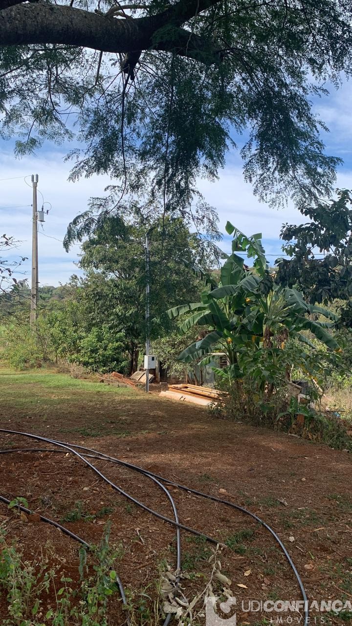 Fazenda à venda - Foto 6