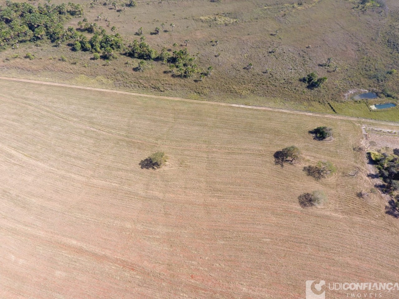 Fazenda à venda - Foto 7