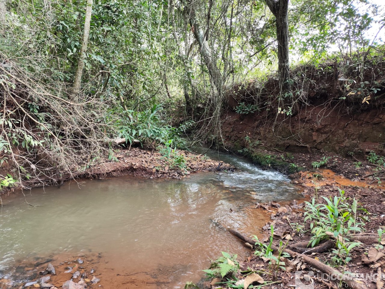 Fazenda à venda - Foto 19