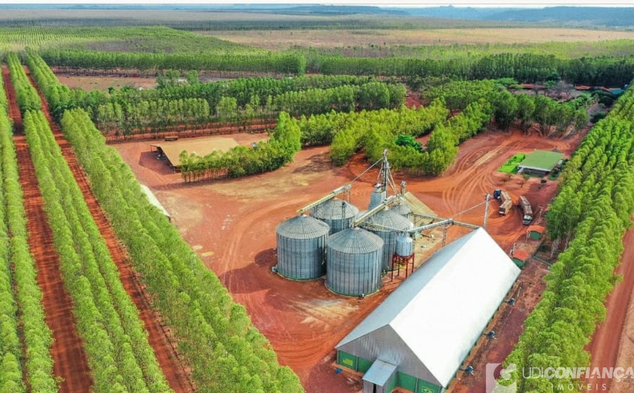 Fazenda à venda - Foto 5