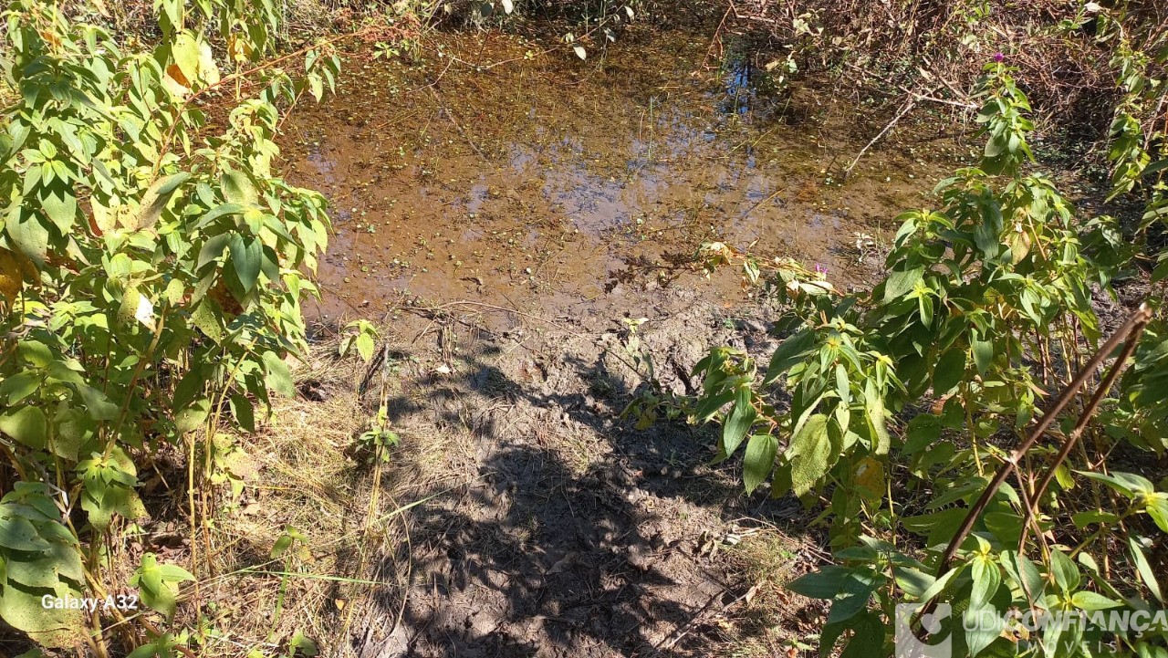 Fazenda à venda - Foto 6