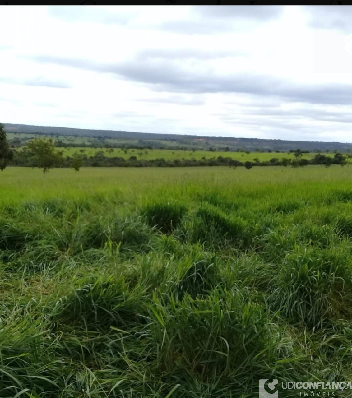 Fazenda à venda - Foto 7