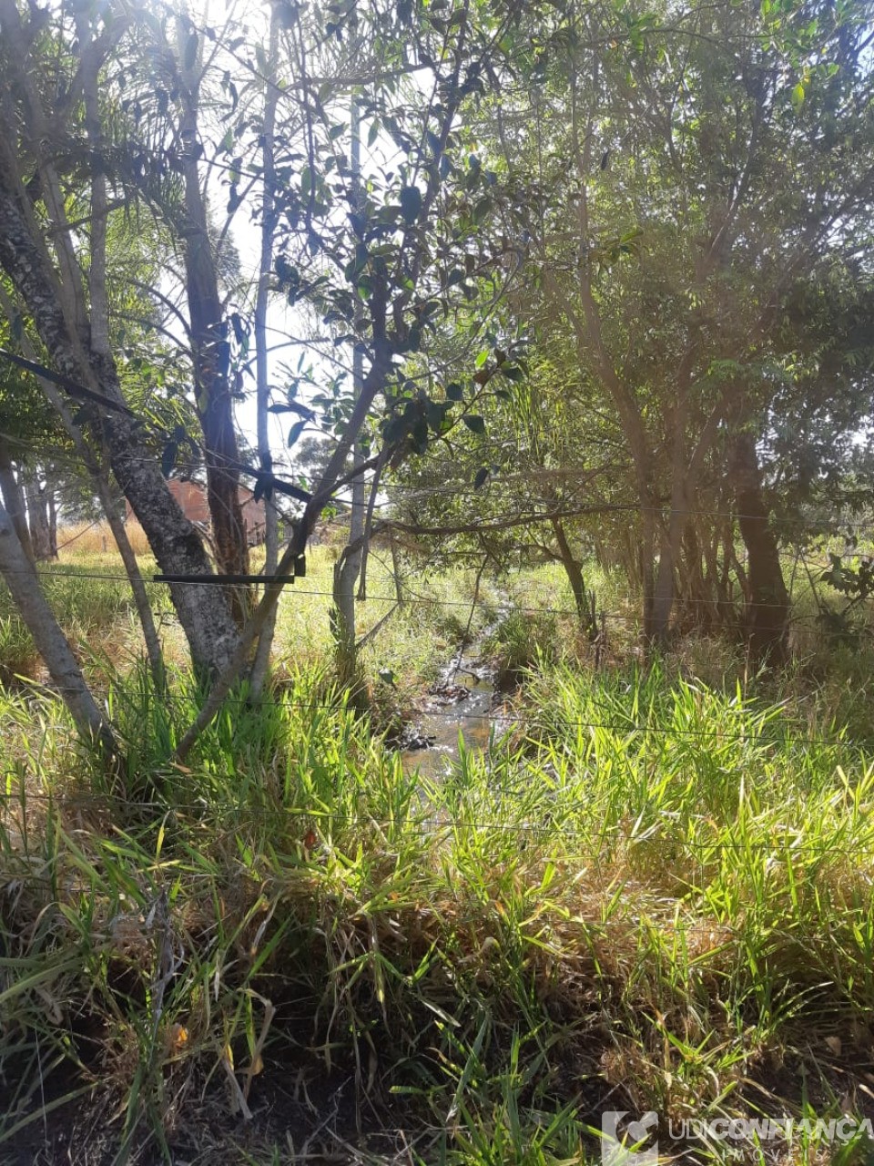 Fazenda à venda - Foto 4