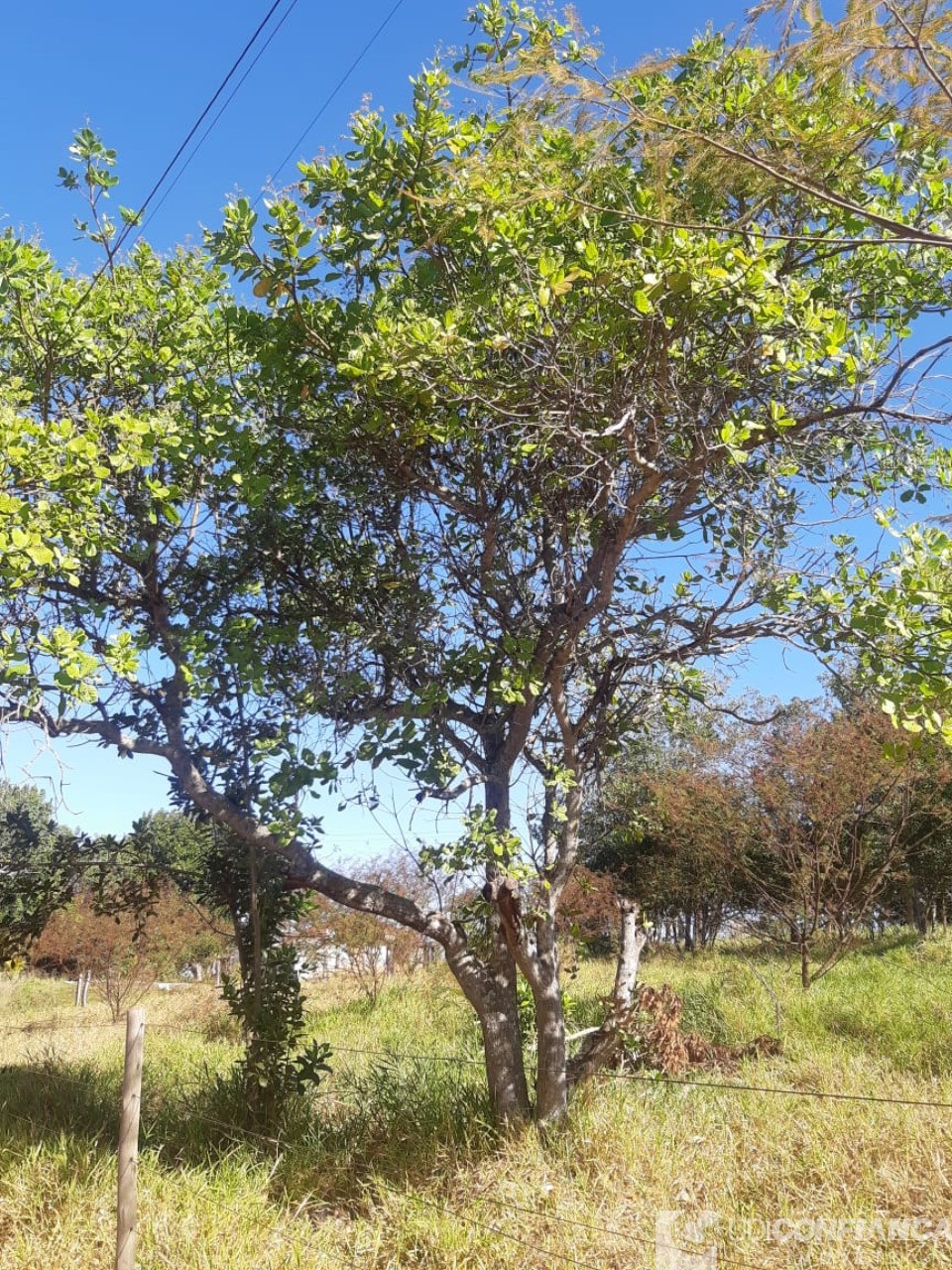 Fazenda à venda - Foto 1