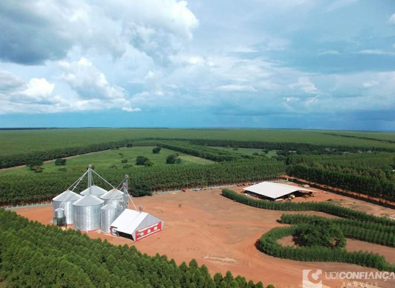 Fazenda à venda - Foto 8