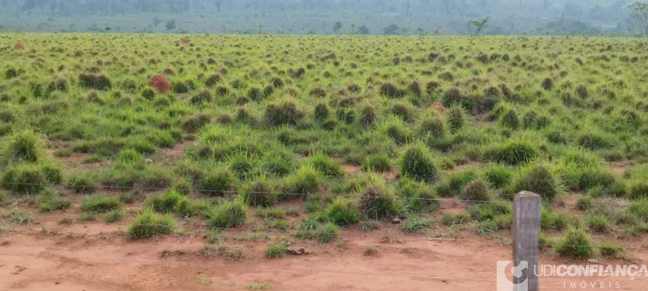 Fazenda à venda - Foto 11