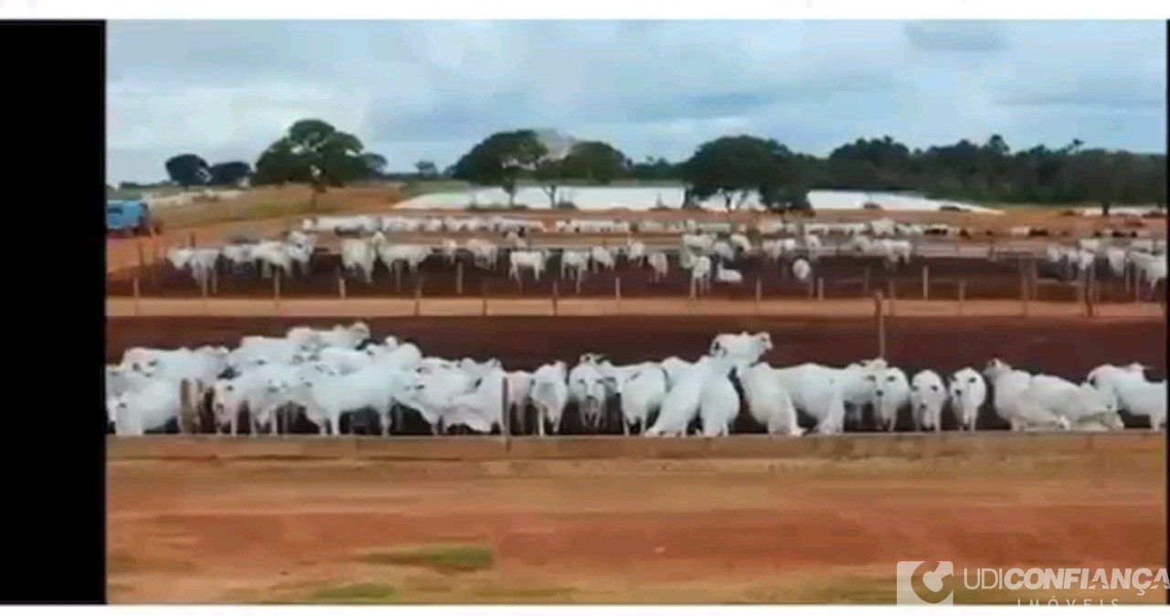 Fazenda à venda - Foto 4