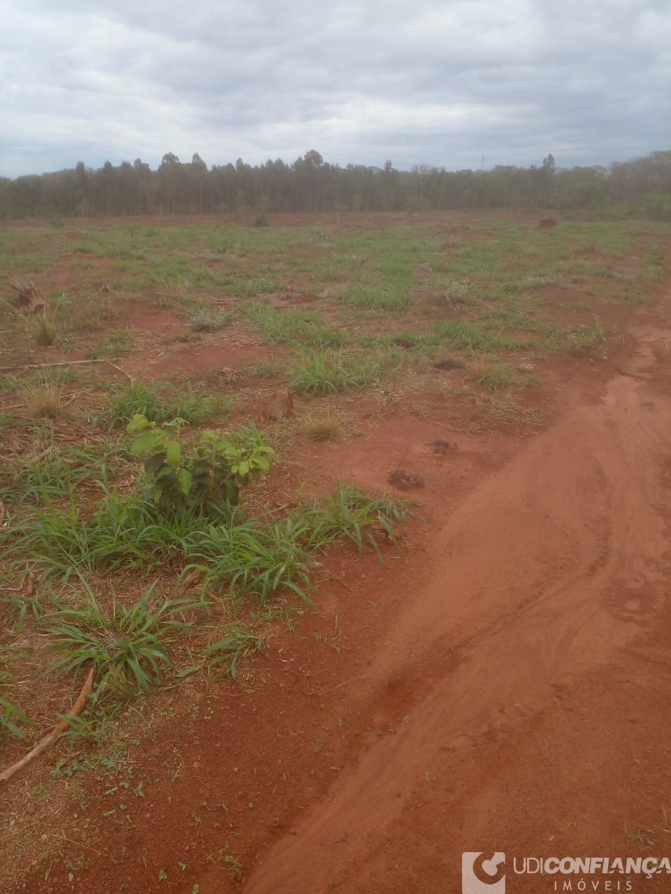 Fazenda à venda - Foto 10