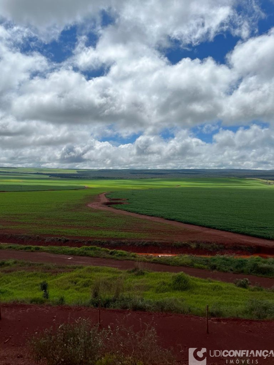 Fazenda à venda - Foto 5