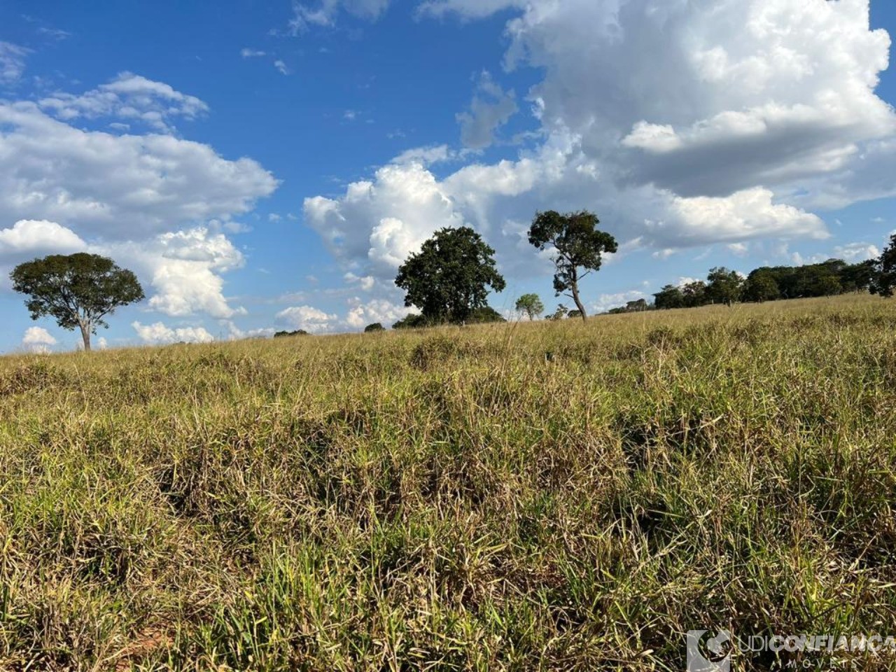 Fazenda à venda - Foto 6