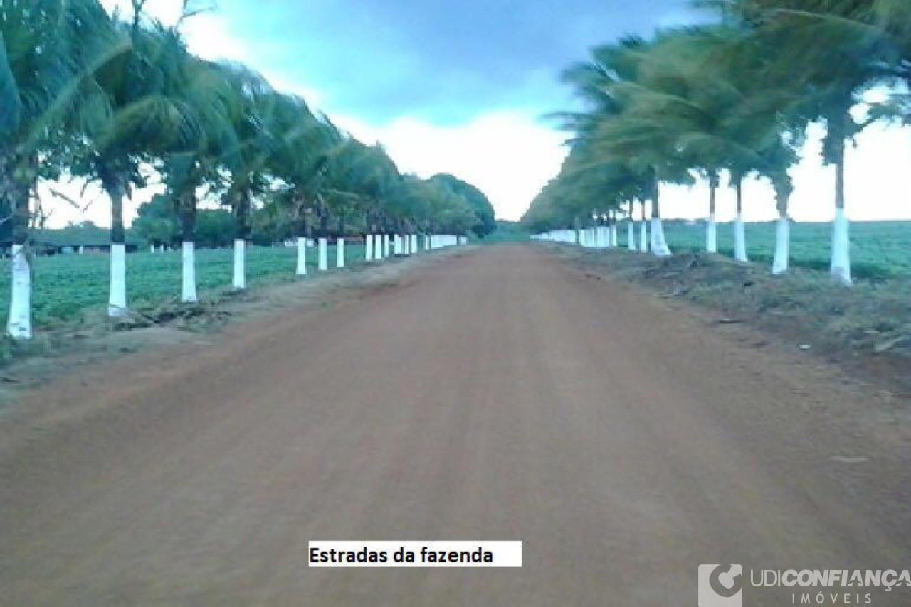 Fazenda à venda - Foto 1