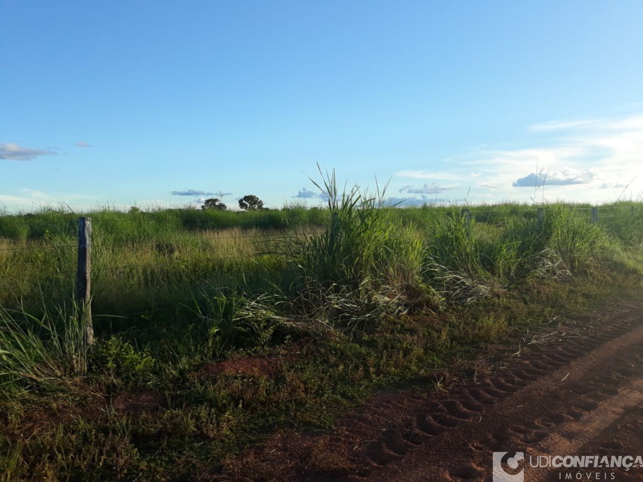 Fazenda à venda - Foto 23