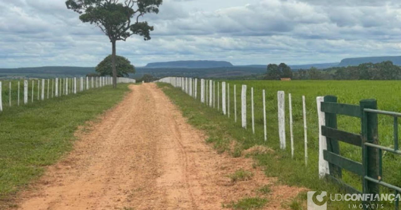 Fazenda à venda - Foto 5