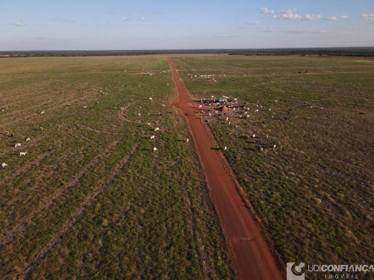 Fazenda à venda - Foto 5