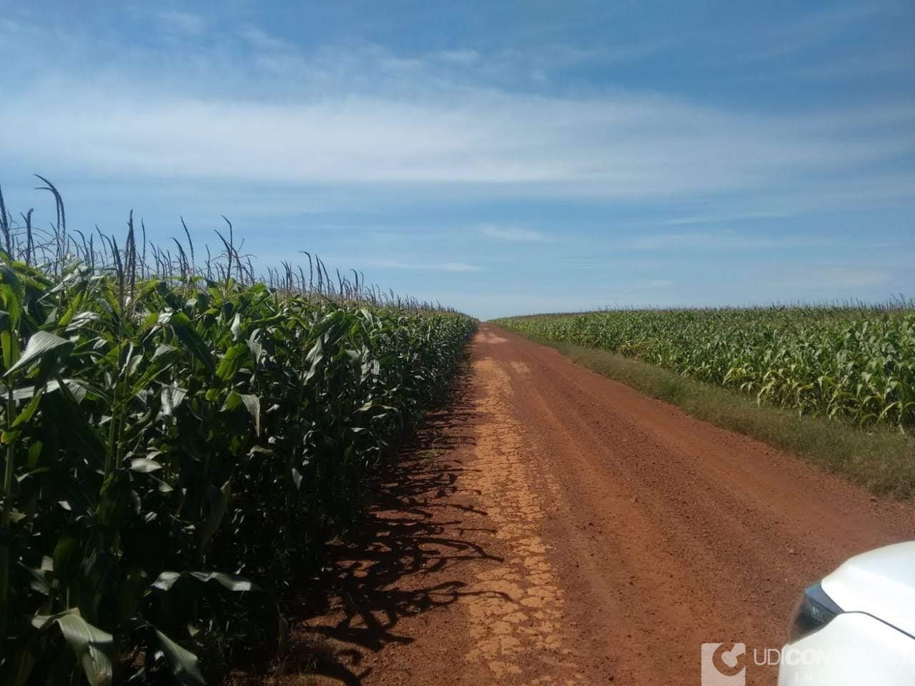 Fazenda à venda - Foto 6