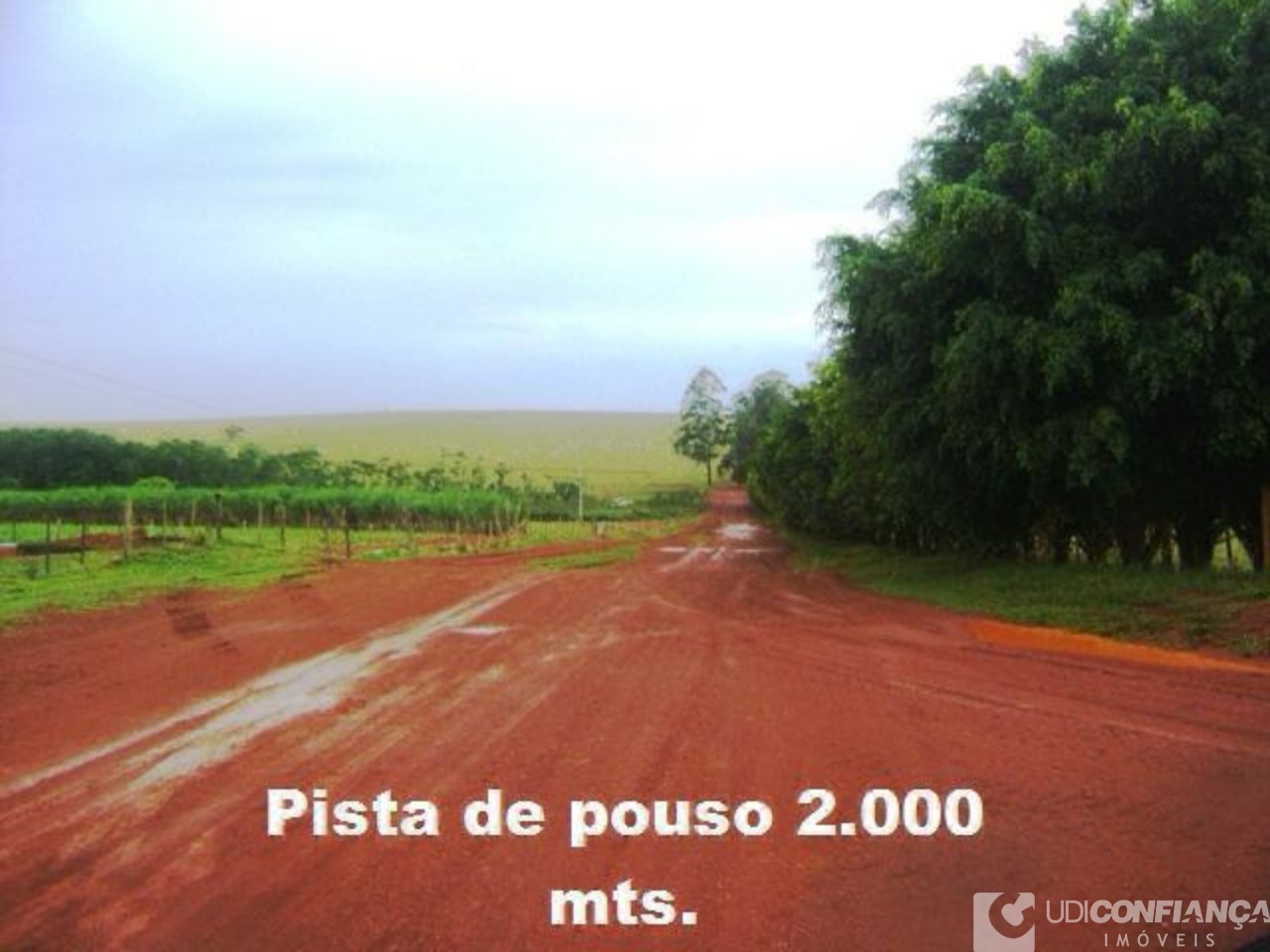 Fazenda à venda - Foto 19