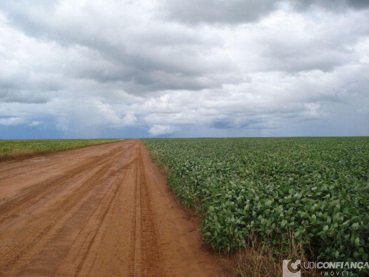 Fazenda à venda - Foto 15