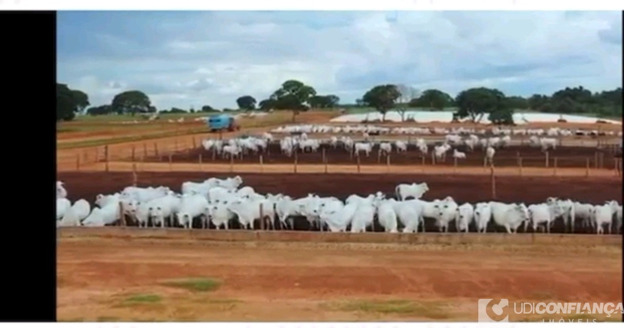 Fazenda à venda - Foto 9