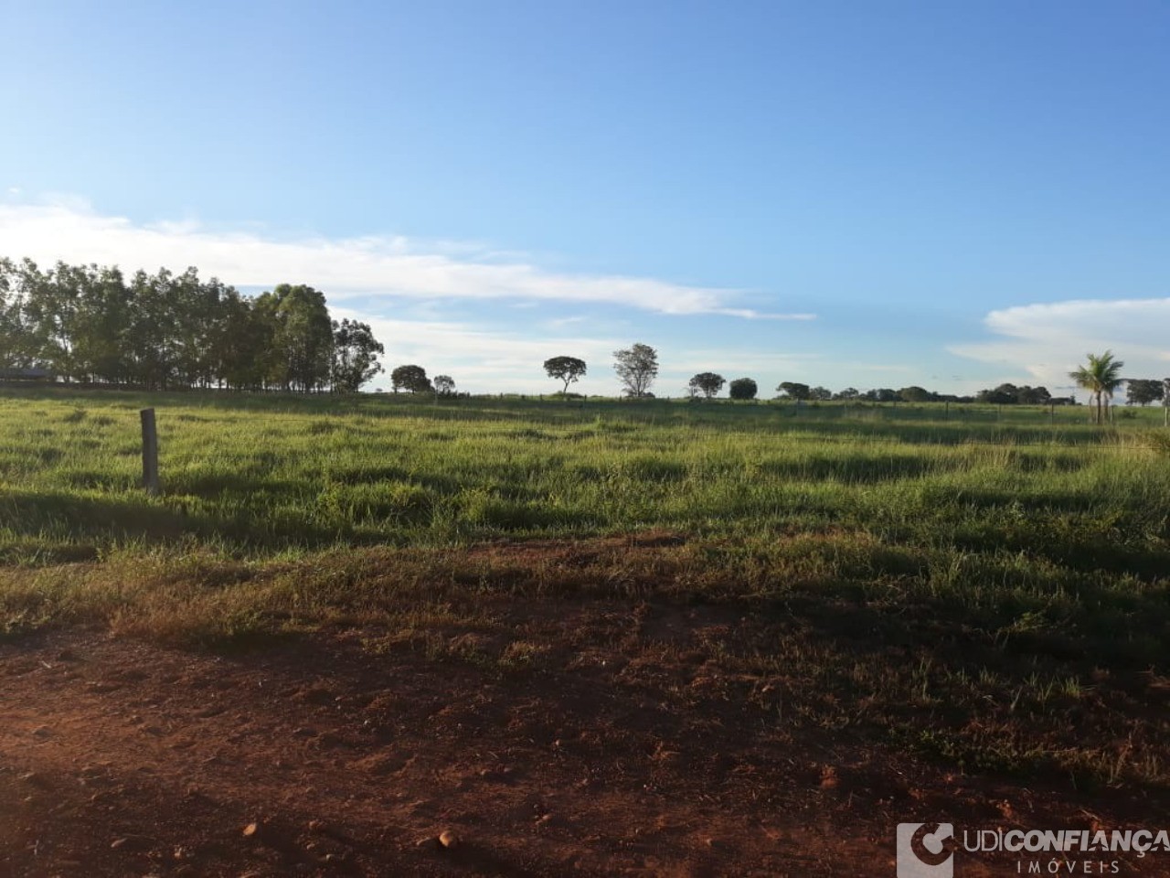 Fazenda à venda - Foto 6