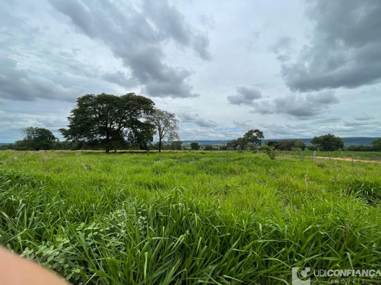 Fazenda à venda - Foto 9