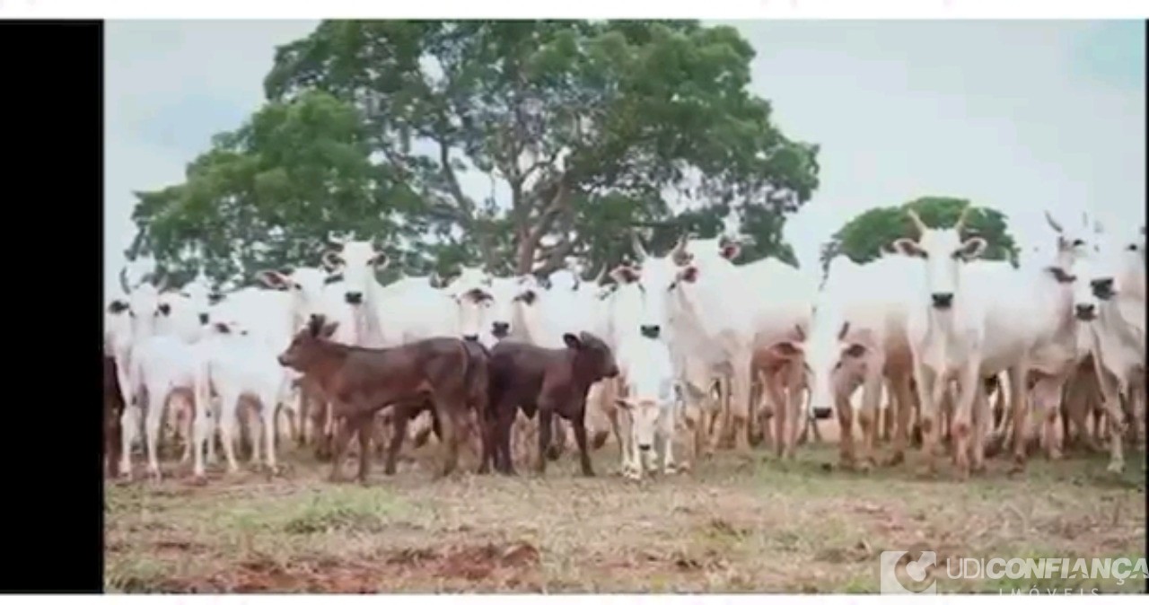 Fazenda à venda - Foto 1