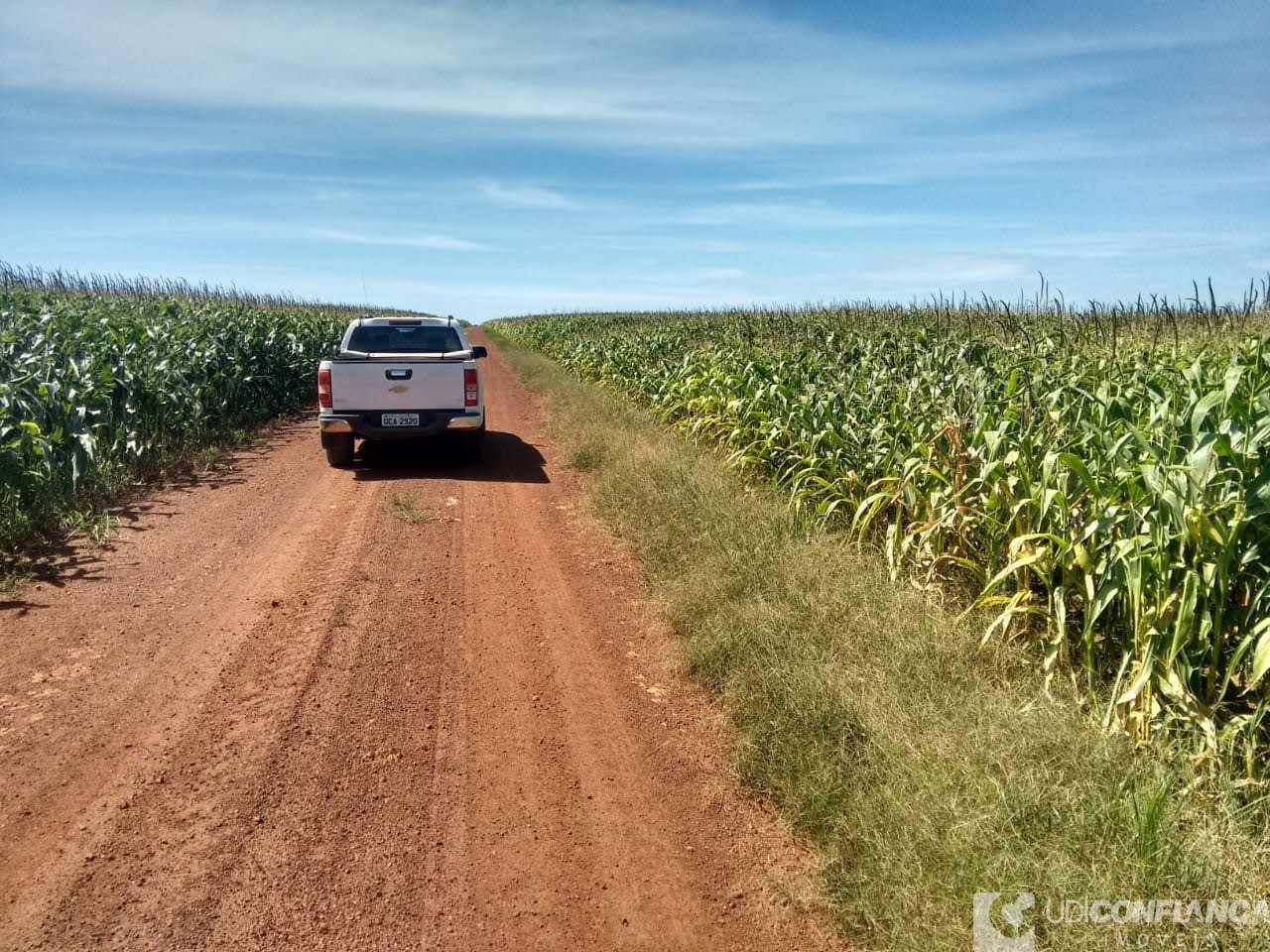 Fazenda à venda - Foto 19