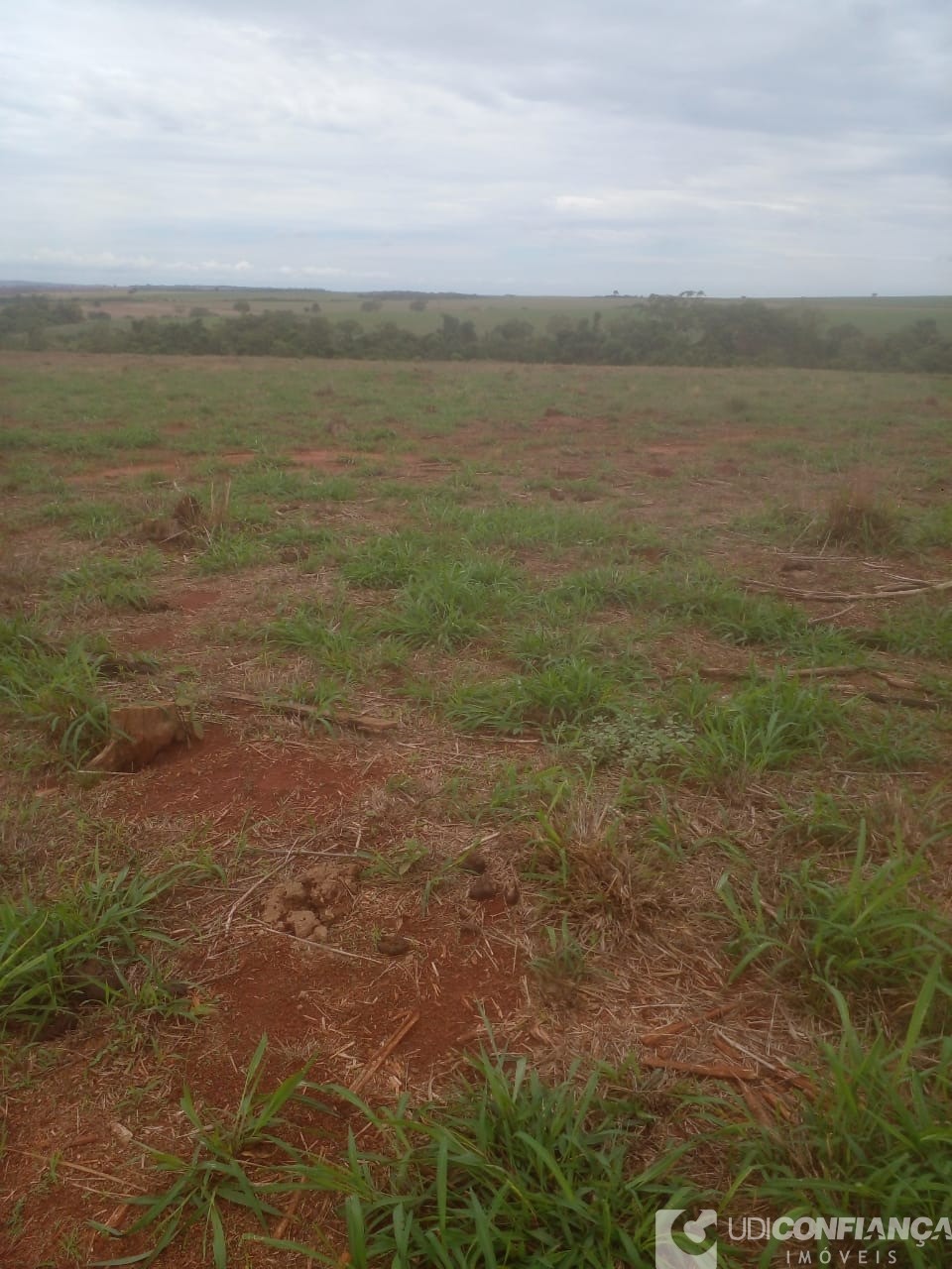 Fazenda à venda - Foto 4