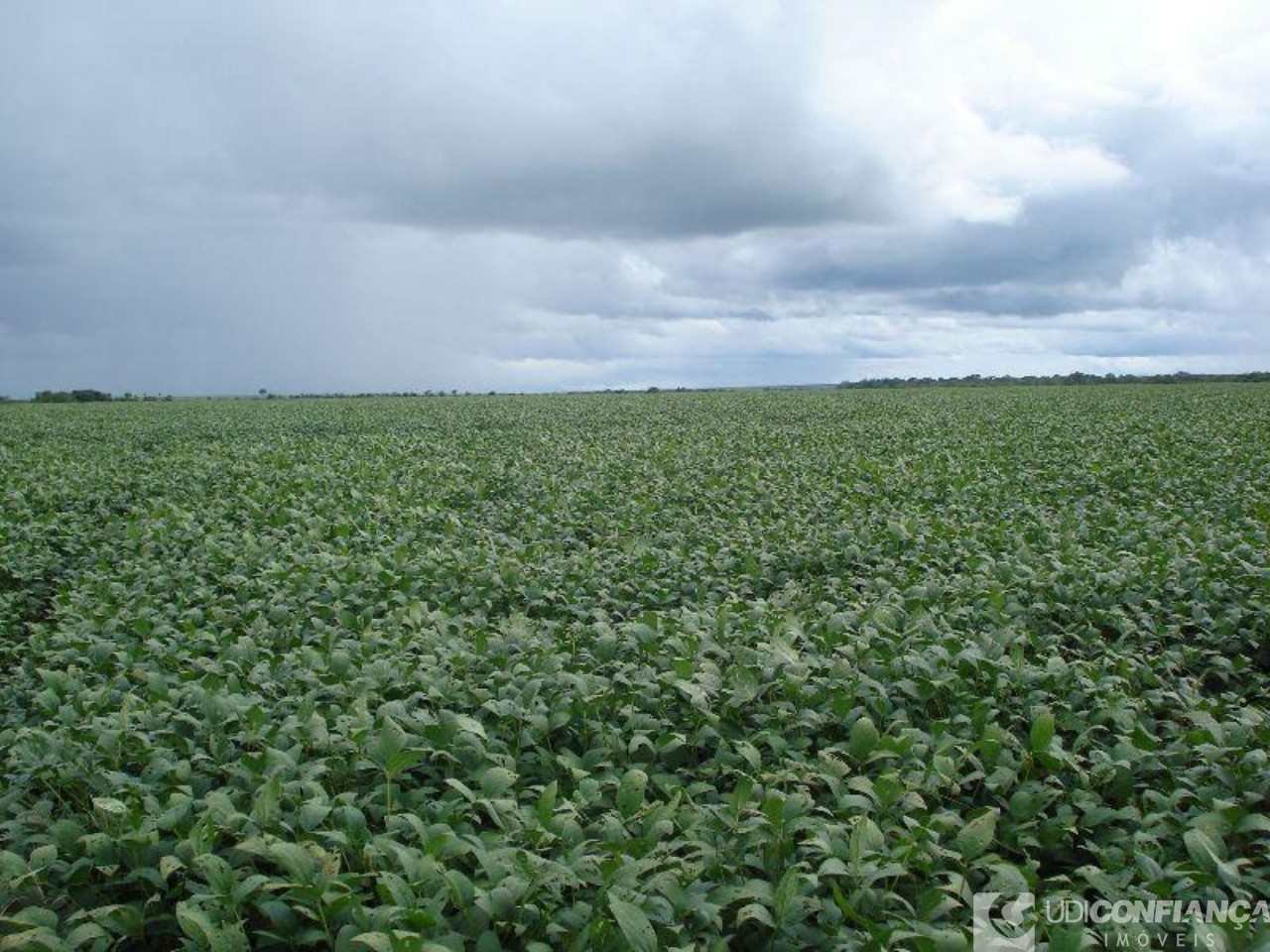 Fazenda à venda - Foto 17