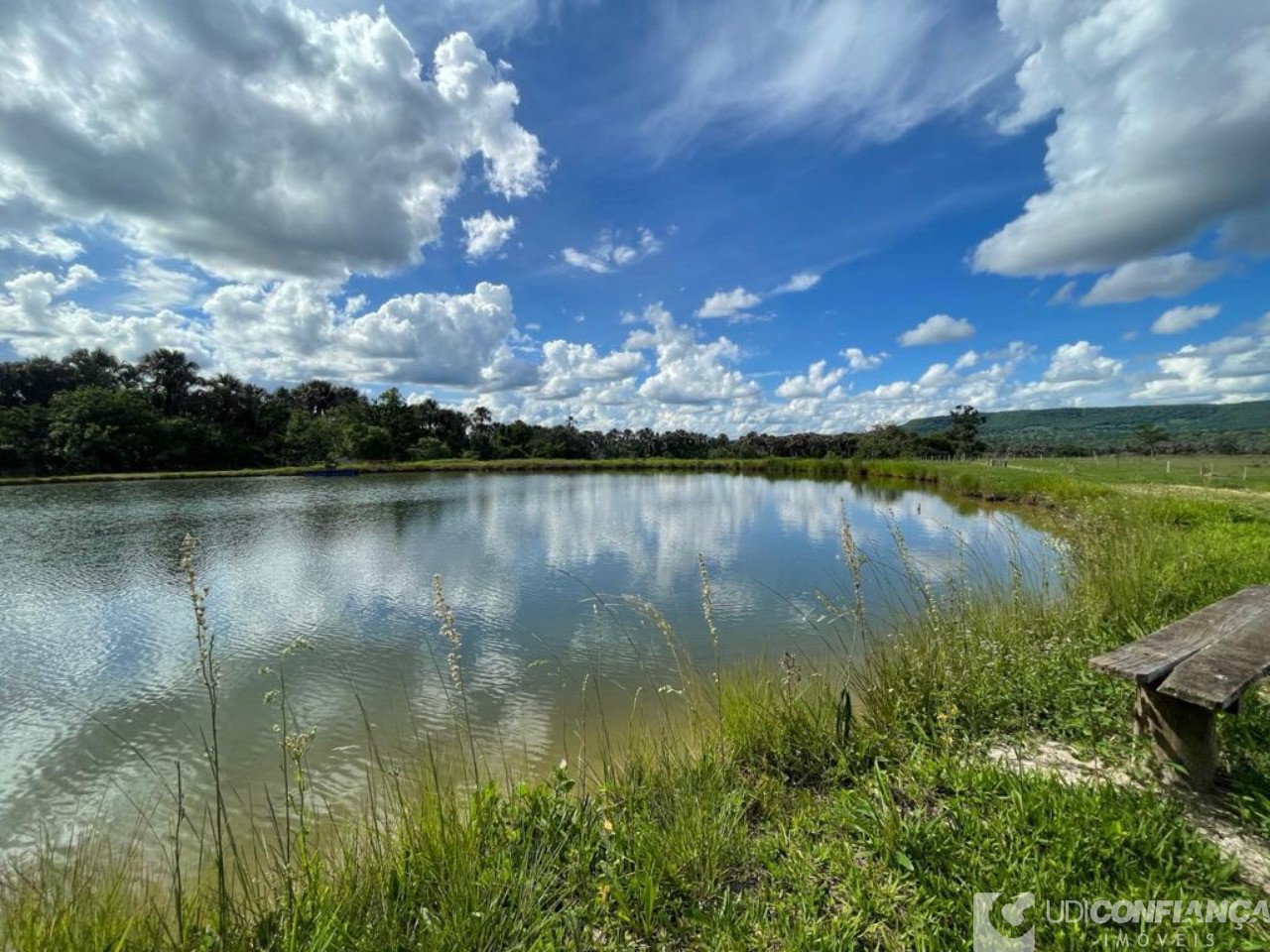 Fazenda à venda - Foto 8