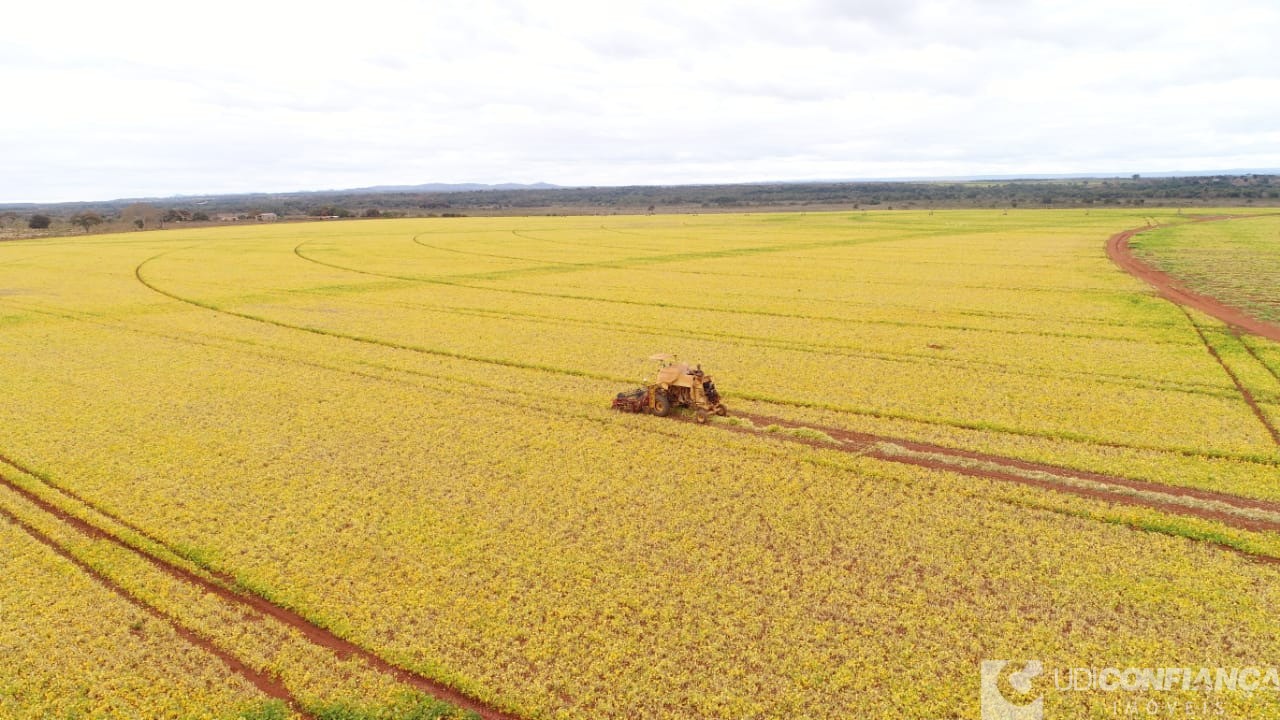 Fazenda à venda - Foto 17