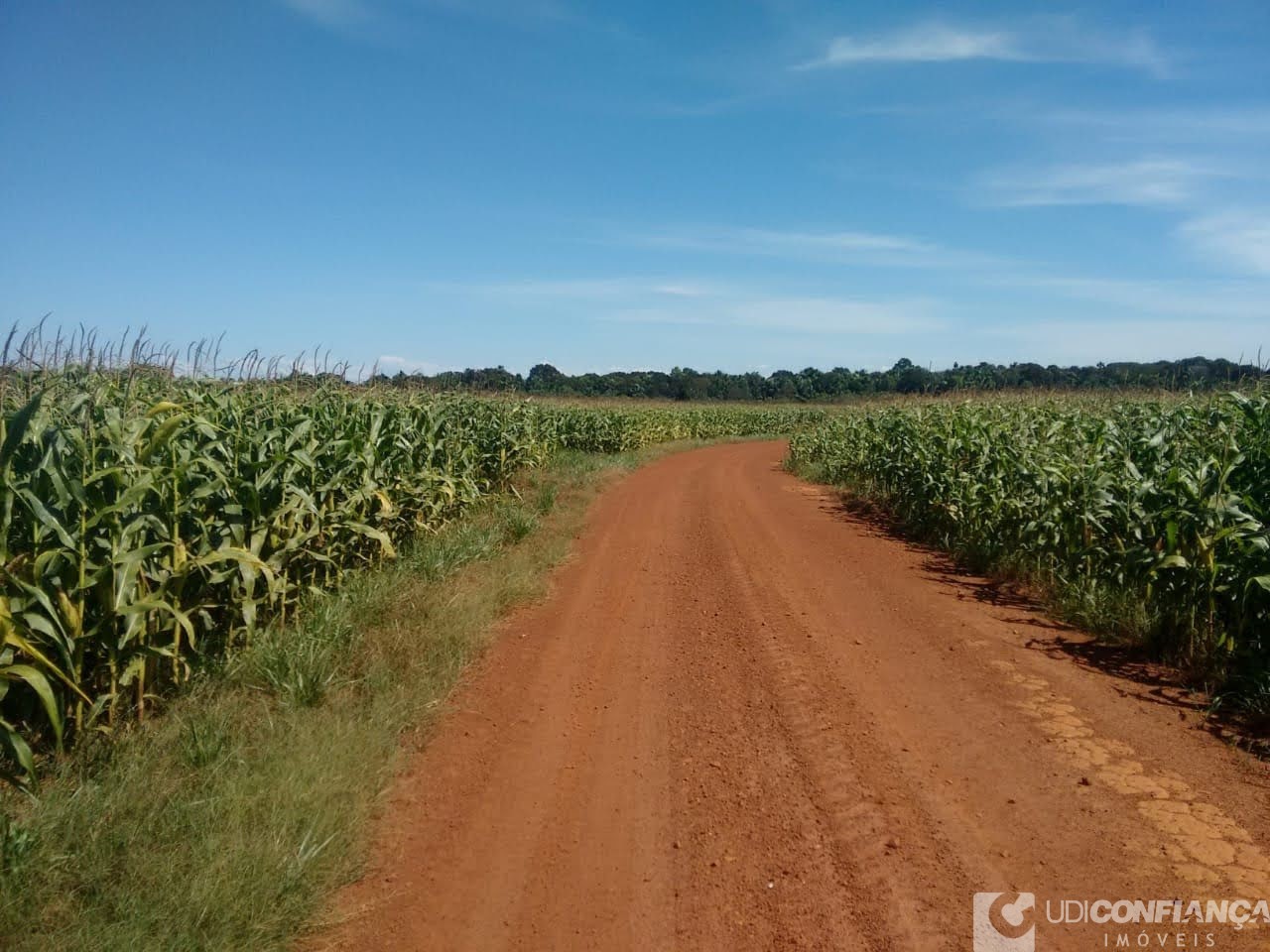 Fazenda à venda - Foto 14