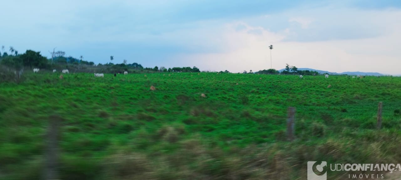 Fazenda à venda - Foto 4