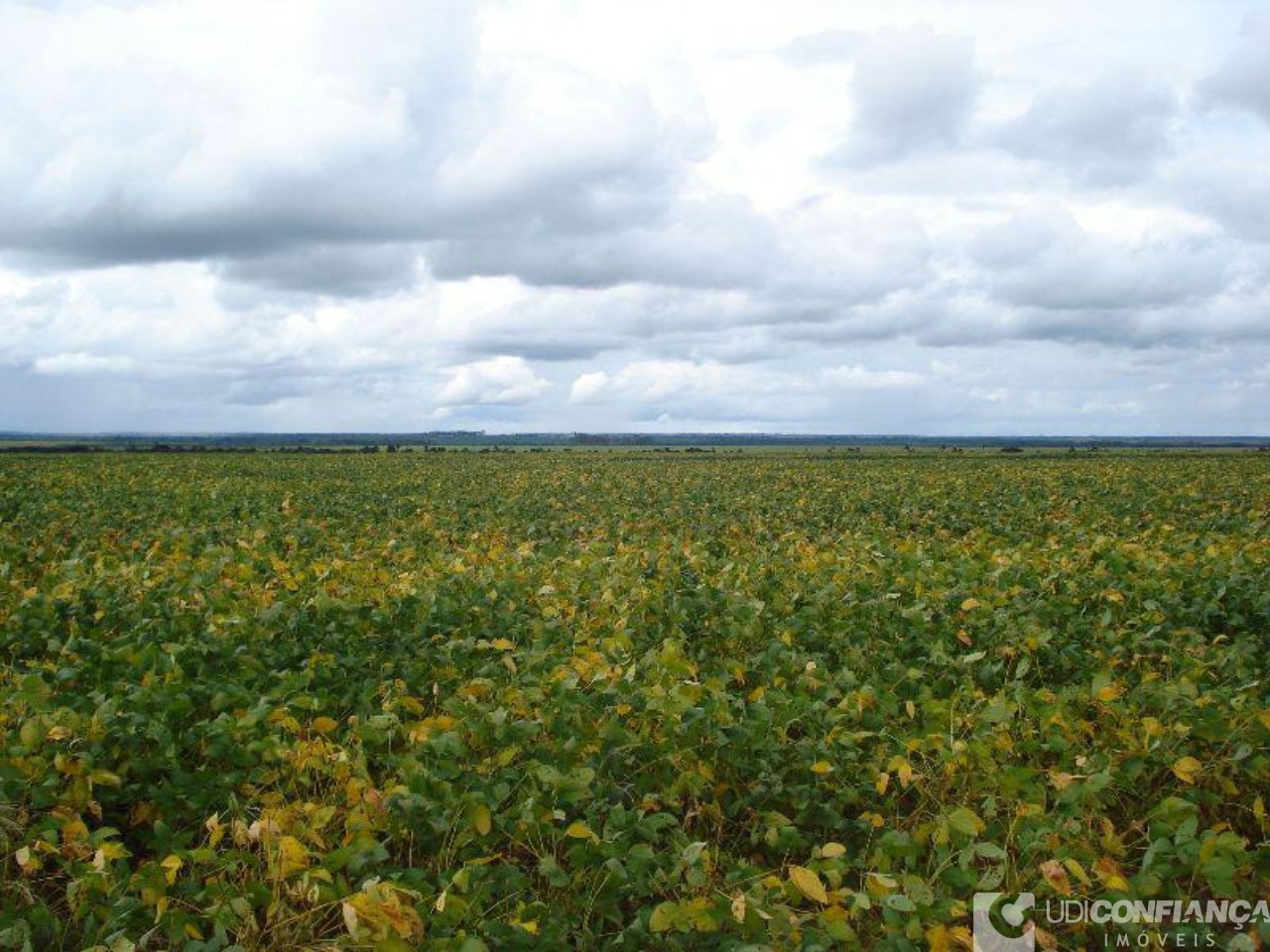 Fazenda à venda - Foto 14