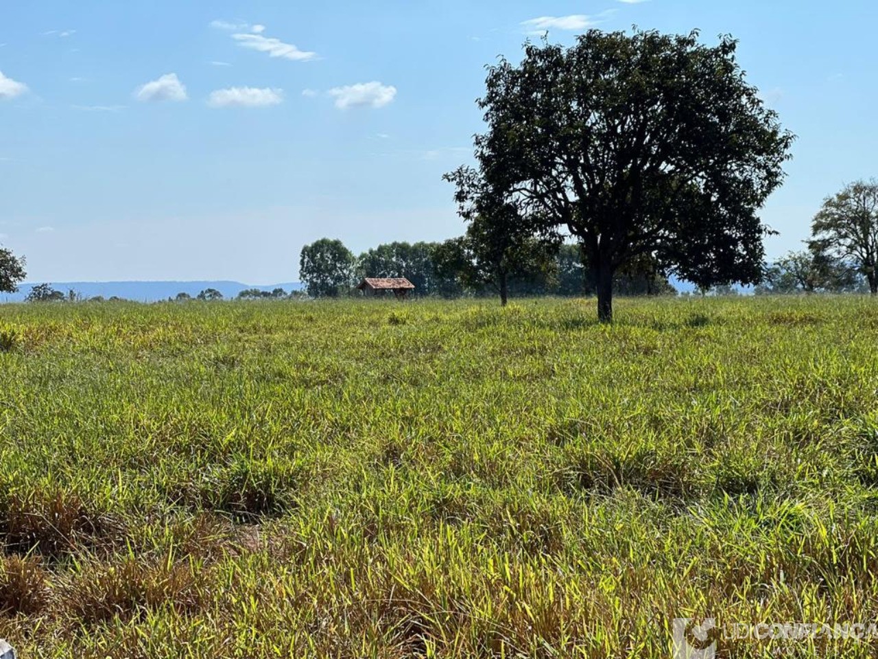 Fazenda à venda - Foto 15