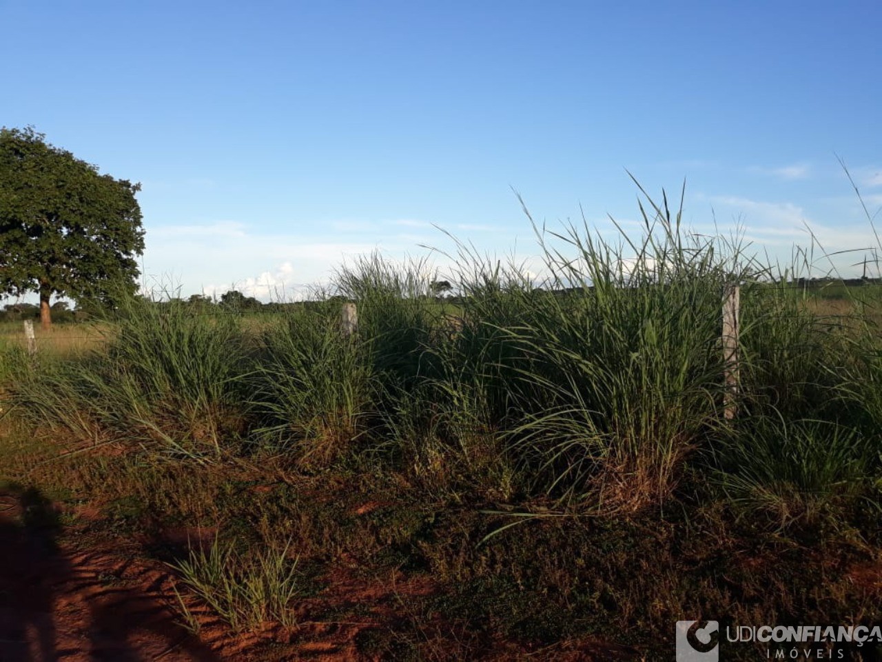 Fazenda à venda - Foto 7