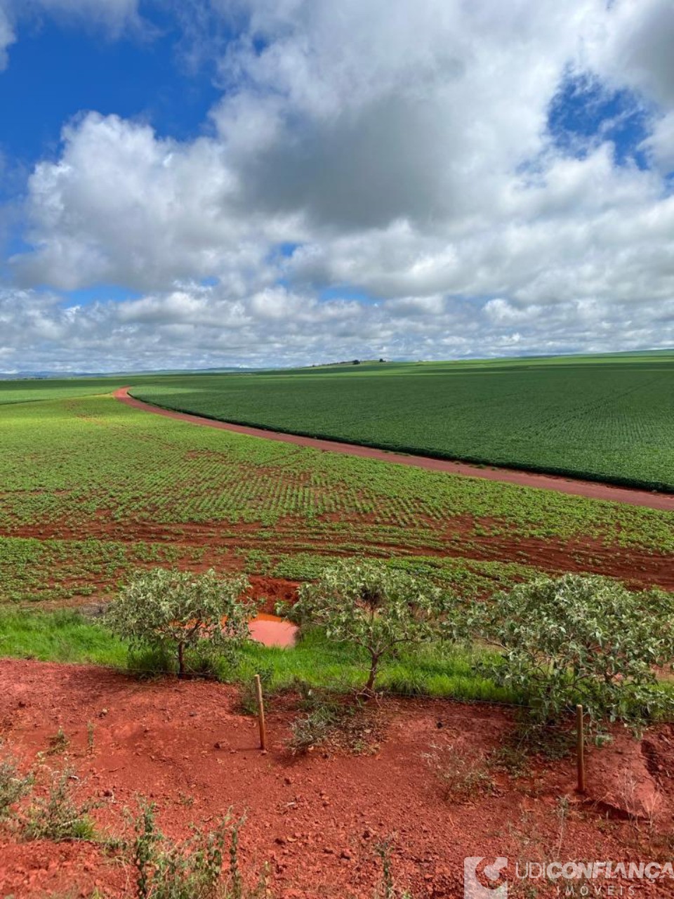 Fazenda à venda - Foto 4