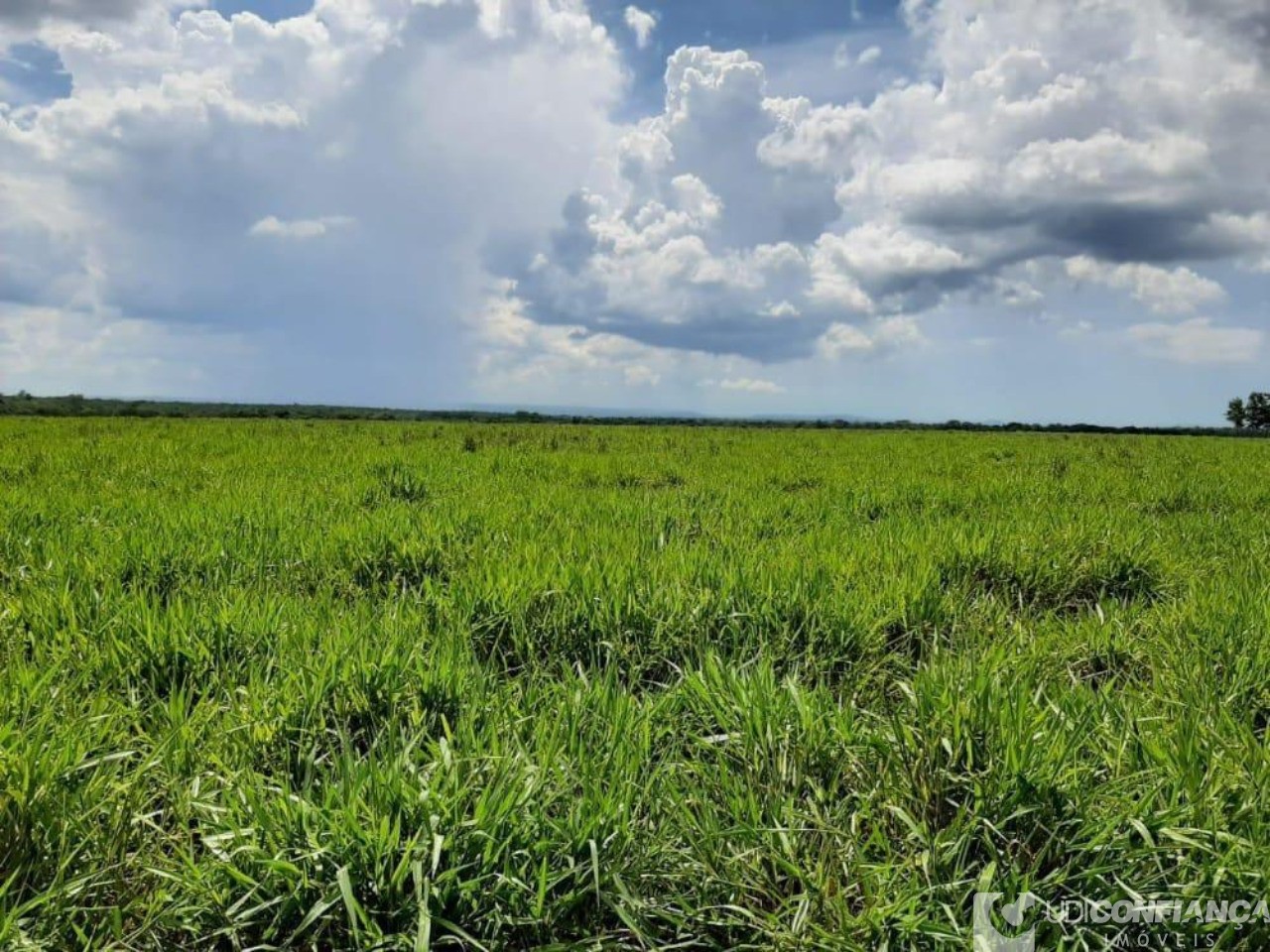 Fazenda à venda - Foto 1