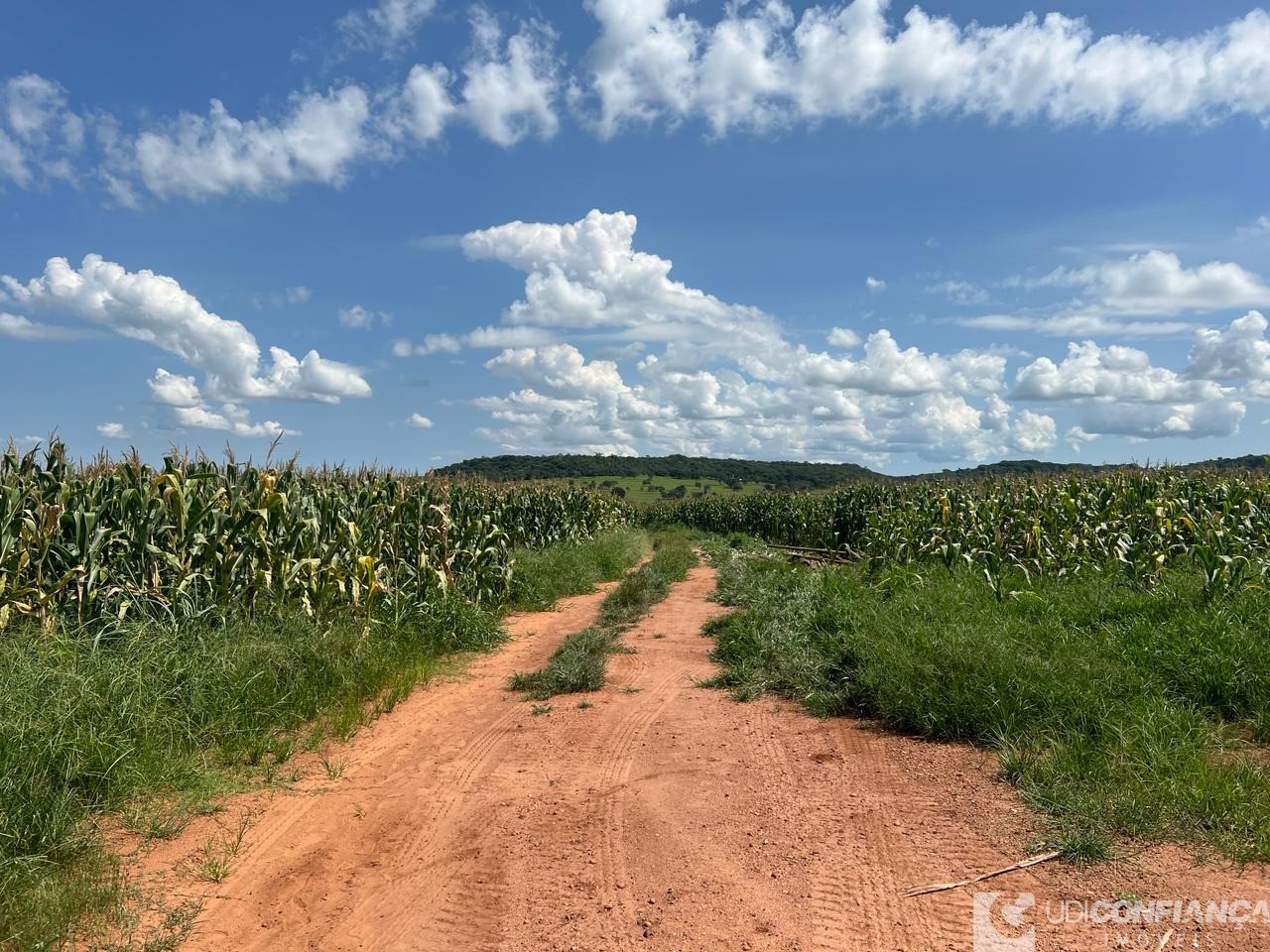 Fazenda à venda - Foto 9