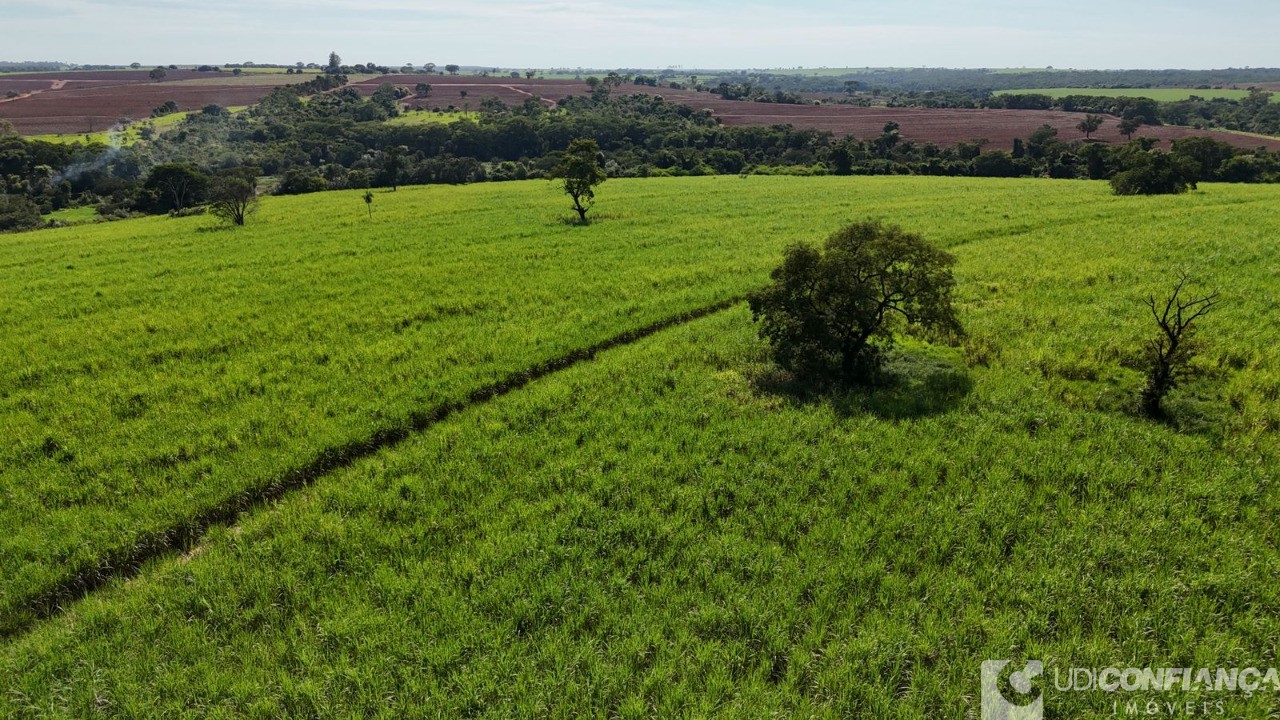 Fazenda à venda - Foto 6