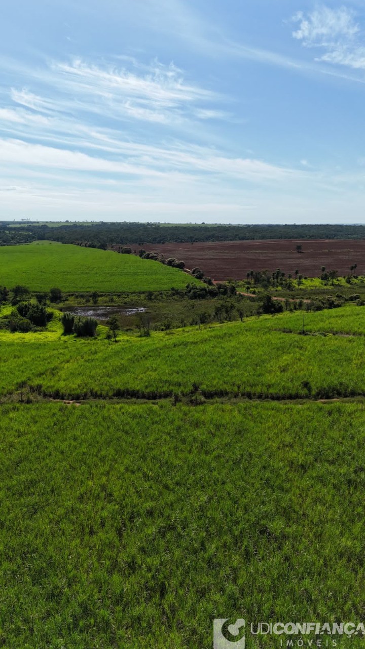 Fazenda à venda - Foto 13