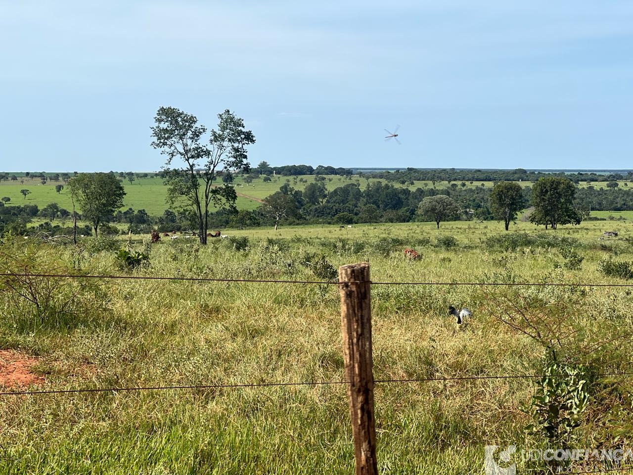 Fazenda à venda - Foto 3