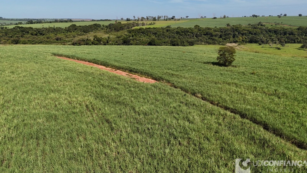 Fazenda à venda - Foto 7